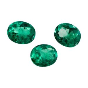 Colombian Emerald - Oval Cut